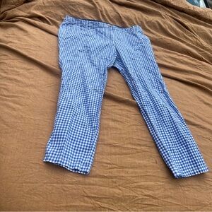 Talbots Blue and White Gingham Girlfriend Chino Pants Plus Size 14W